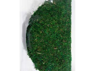 Supermoss Soil Topper 18"