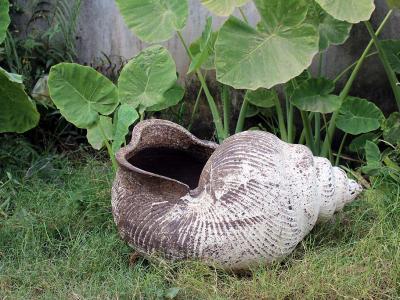 Shell Pot Mossy Lg 28"x20"x15"