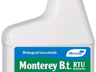 Pest Control BT RTU 1 qt/32 FL oz