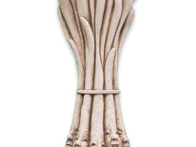 Carruth Italian Scallions 3.5"x8.25"