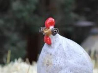 Chicken Dough White Sm 5"x5.7"