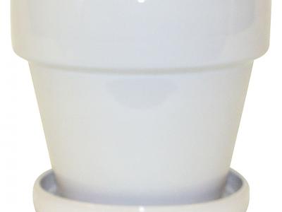 Standard w/Saucer Pot White 5.5"x5.5"