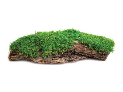 Supermoss Bark Mossy 12"