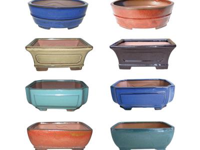 Bonsai Prof Glazed Pot Glazed 10.75x8.5x4"