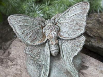 Lunar Moth CB 6"x6"x4.5" - 2 lbs