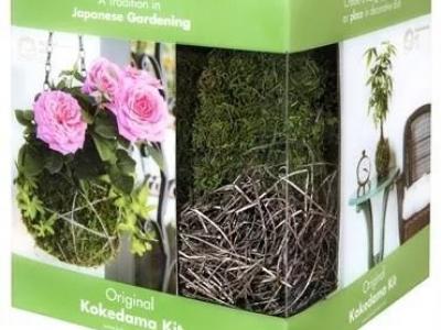 Kokedama Kit Cube 6"