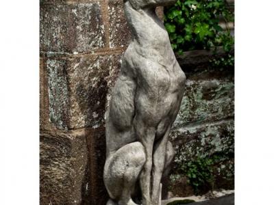 Greyhound Antique Dog AS
