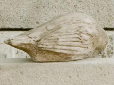 Solo Bird EM 5.75"x3"x2.5"