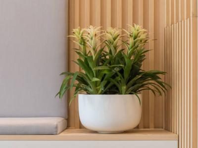 Sunny Pot Matte White Lg 17.72"x10.63"