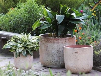 Milano Short Barrel Heirloom White Pot Heirloom White Lg 19"x14"