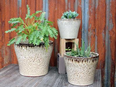 Hosta Pot Light Mocha Lg 17.5"x14.5"