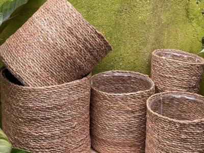 Hanging Seagrass w/Liner Sm 5"