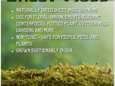 Moss Sheet (Hypnum) Natural & Dry 16 oz