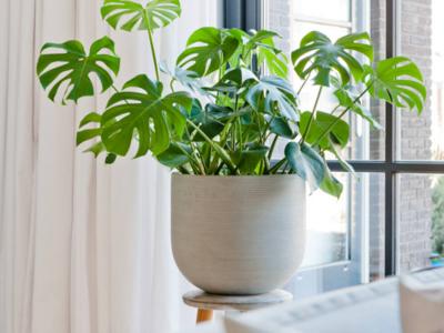 Cody HR Pot Light Grey Sm 9.84"x11.02"