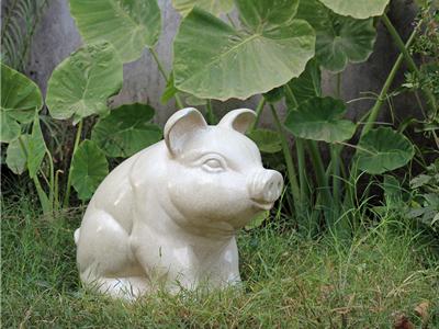 Smiling Farm Pig White No Speckle