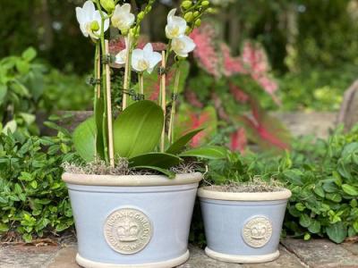 Windsor Low Tiffany Blue Pot Duck Egg Blue Sm 5"x7"