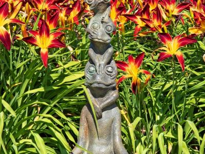 Small Thoughts Frog RN