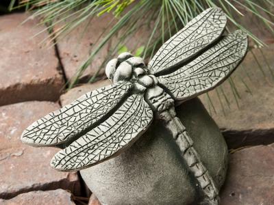 Dragonfly AS 7"x4.25"x3.5" - 2 lbs