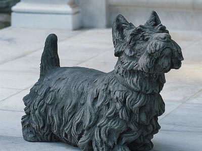 Scotty Angus Dog AS 20"x7"x15.5" - 77 lbs