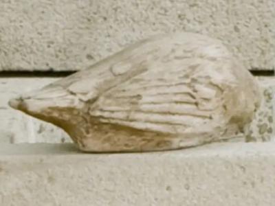 Solo Bird VE 5.75"x3"x2.5" - 2 lbs