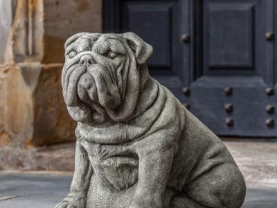 Antique Bulldog AS 24"x14"x20" - 181 lbs