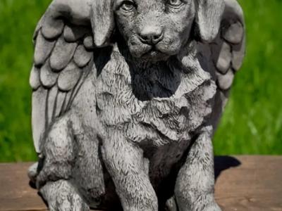 Angel Puppy AS 13"x11"x13" - 38 lbs